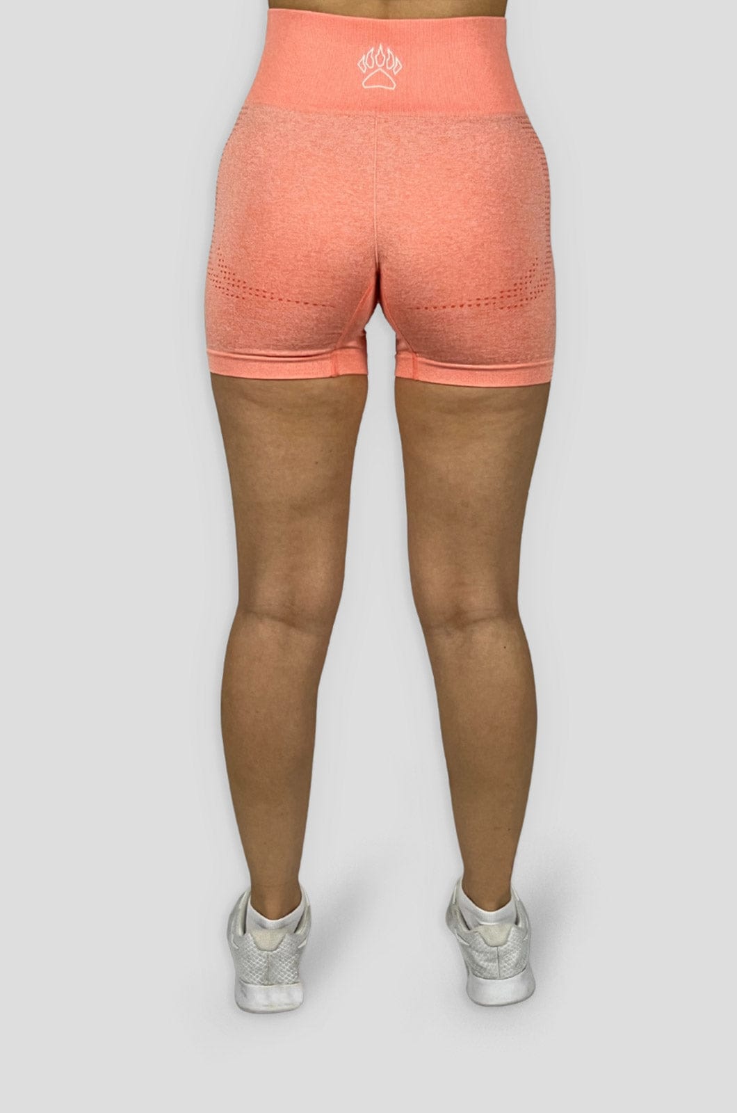 Required Seamless Shorts